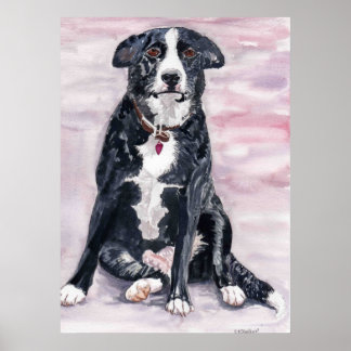 'Black Dog' Poster