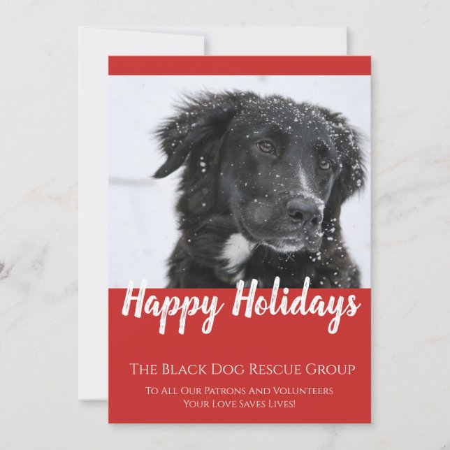 Black Dog Rescue Organisation Holiday Card (Front)