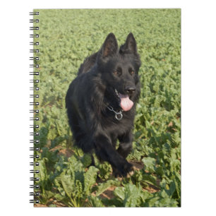 Black Dog Spiral Notebook