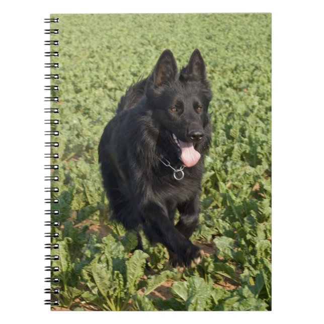 Black Dog Spiral Notebook (Front)