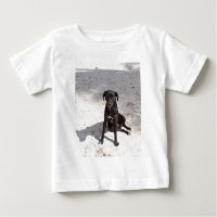 Black dog with an evil eye