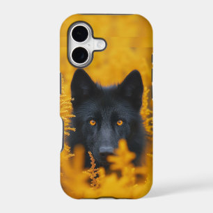 Black Dog with Stunning Gold Eyes