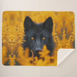 Black Dog with Stunning Gold Eyes Sherpa Blanket