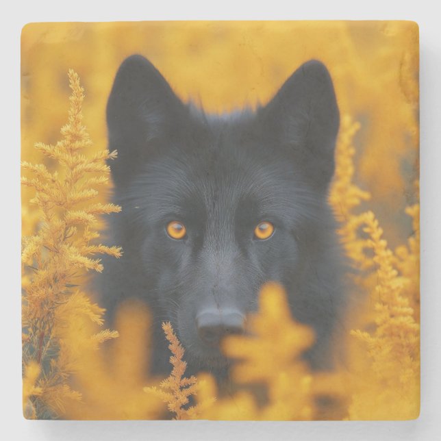 Black Dog with Stunning Gold Eyes Stone Coaster (Front)