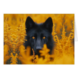 Black Dog Wolf w/ Stunning Gold Eyes Blank Inside