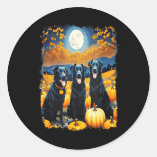 Black Dogs Halloween Dog Lovers Starry Night Classic Round Sticker