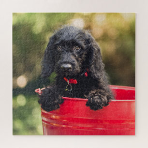 Black Doodle Puppy in a Red Bucket Jigsaw Puzzle