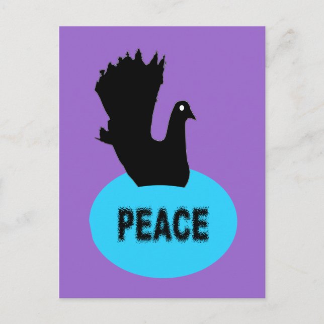 Black Dove Peace Postcard (Front)