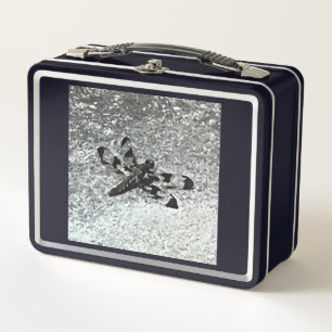 Black Dragonfly on Cement, Lunch Boxes