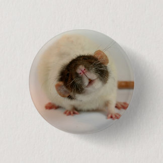 Black dumbo rex Rat 3 Cm Round Badge