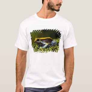 Black-eared Mantella, Mantella expectata, T-Shirt