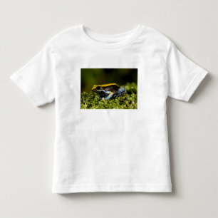 Black-eared Mantella, Mantella expectata, Toddler T-Shirt