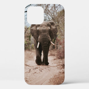 BLACK ELEPHANT WALKING ON BROWN SAND iPhone 12 CASE