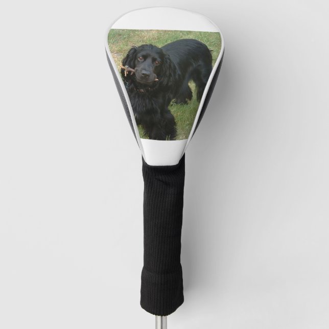 black english cocker spaniel full 2 golf head cover (Front)