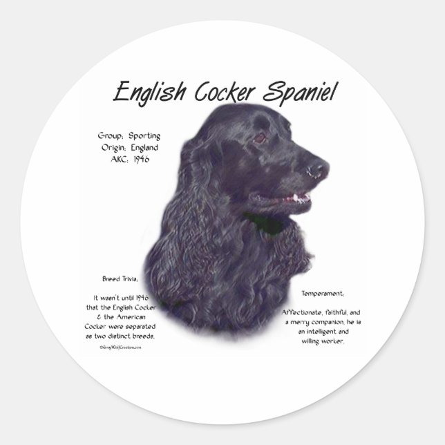 Black English Cocker Spaniel History  Classic Round Sticker (Front)