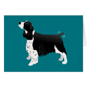 Black English Springer Spaniel Basic Breed Card