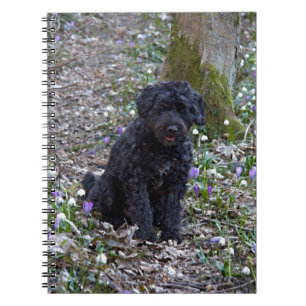 Black English Springer Spaniel Notebook
