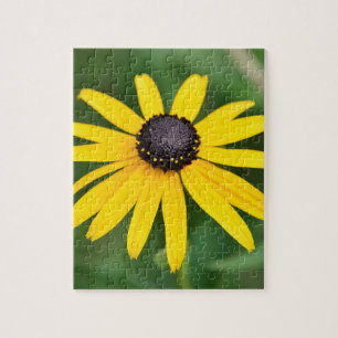 Black Eyed Susan - 8x10 110 pcs. Floral Puzzle