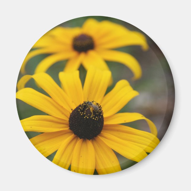 Black-Eyed Susan and Bee Magnet (Front)