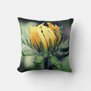 Black Eyed Susan Awakening   Cushion