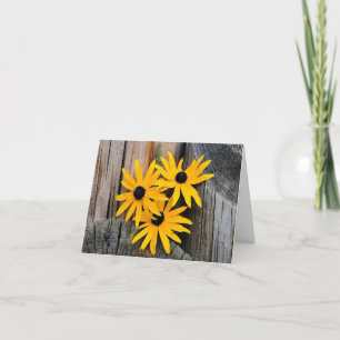 Black-eyed Susan Blank Note Card