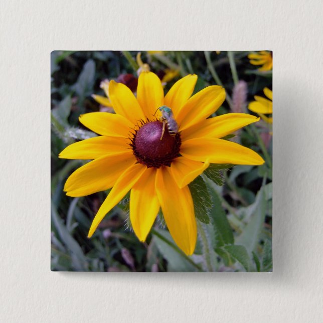 Black-Eyed Susan Button (Front)