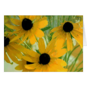 Black Eyed Susan Card