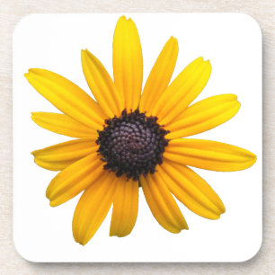 Black-eyed Susan Coasters