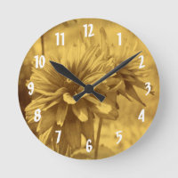 Black Eyed Susan Daisy Flower In Sepia