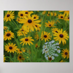 Black Eyed Susan Daisy Flower Photo Painting Poster