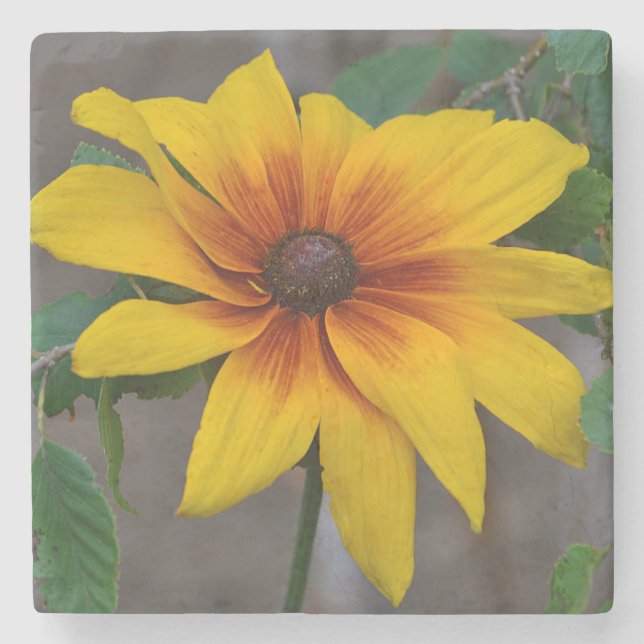 Black-eyed-Susan Floral Stone Coaster (Front)