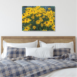 Black Eyed Susan Flower Garden Canvas Print