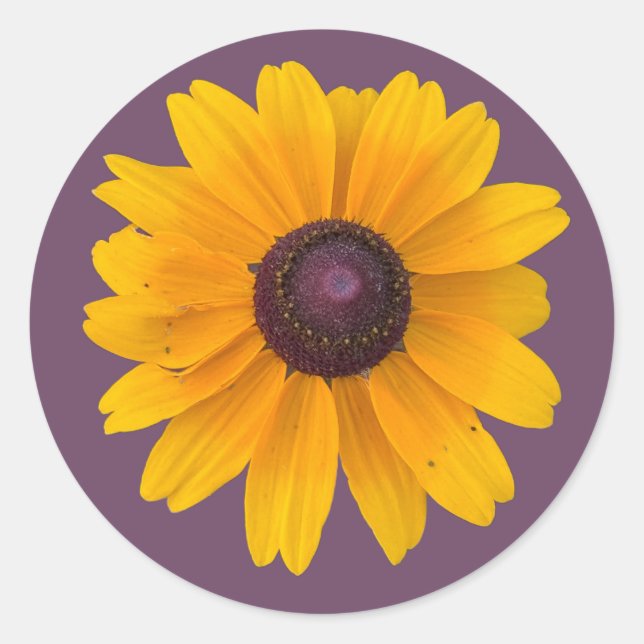 Black-eyed Susan Flower Sticker (Front)