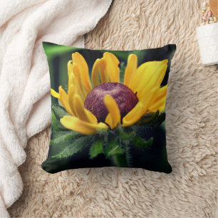 Black Eyed Susan Flower Unfolding  Cushion