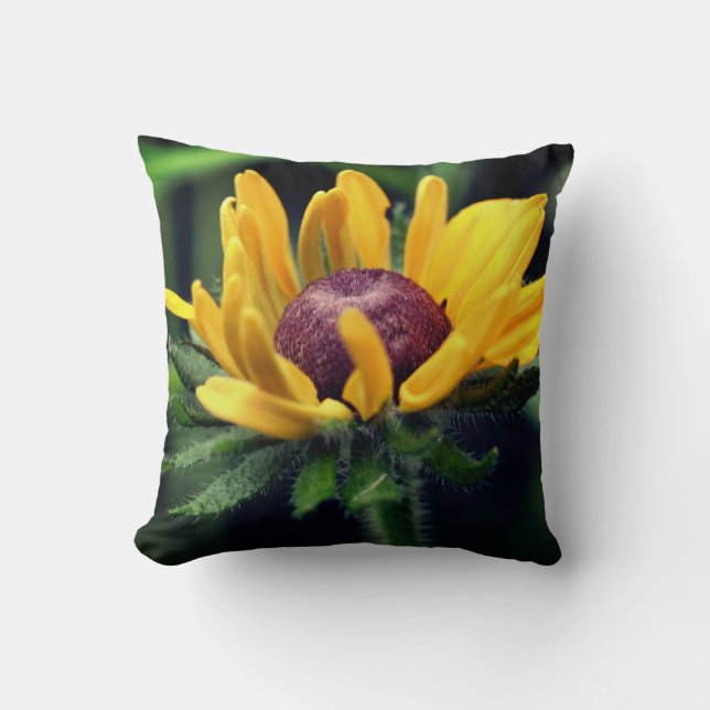 Black Eyed Susan Flower Unfolding  Cushion (Front)