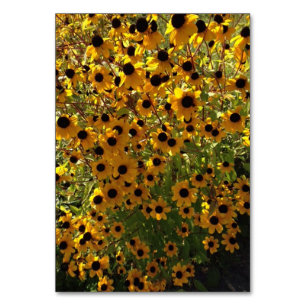 Black-eyed Susan Flowers Custom Reading Flashcards Table Number
