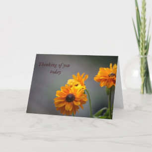 black-eyed susan flowers greeting card