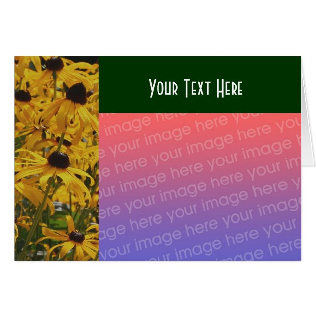 Black Eyed Susan Flowers Photo Card (Front Horizontal)