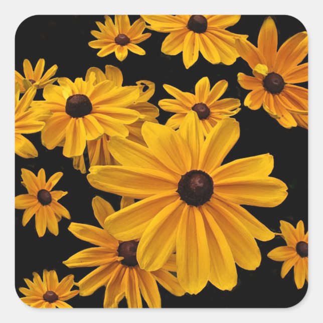 Black Eyed Susan Flowers Yellow Floral Stickers (Front)