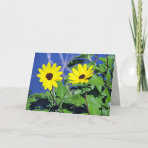 Black Eyed Susan Greeting Card