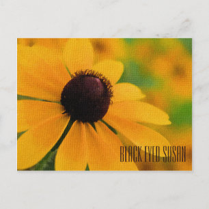 Black Eyed Susan Horizontal Postcard