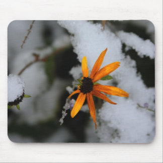 black eyed susan in the first snow mouse pad