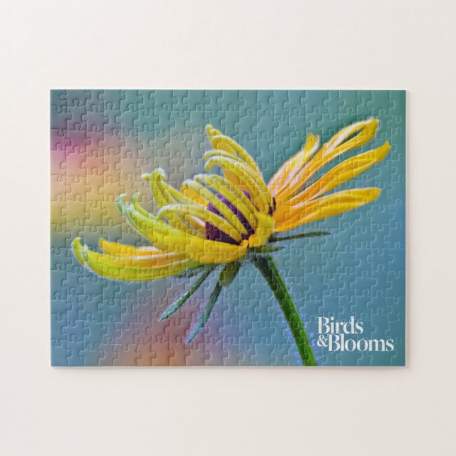 Black-eyed Susan Jigsaw Puzzle (Horizontal)