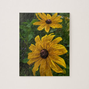 Black-Eyed Susan Jigsaw Puzzle