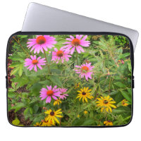 Black-eyed Susan