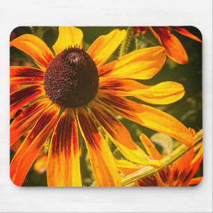 "Black-Eyed Susan" Mousepad