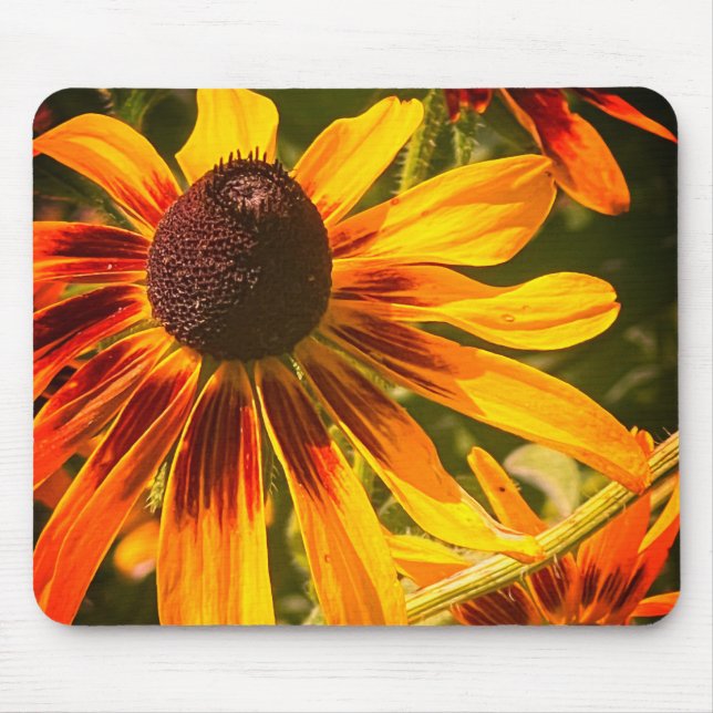"Black-Eyed Susan" Mousepad (Front)