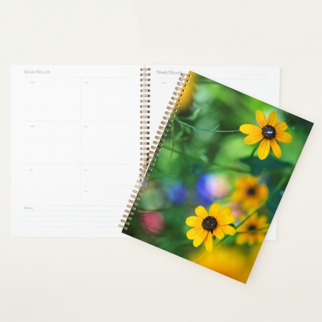 Black-eyed Susan Planner (Display)