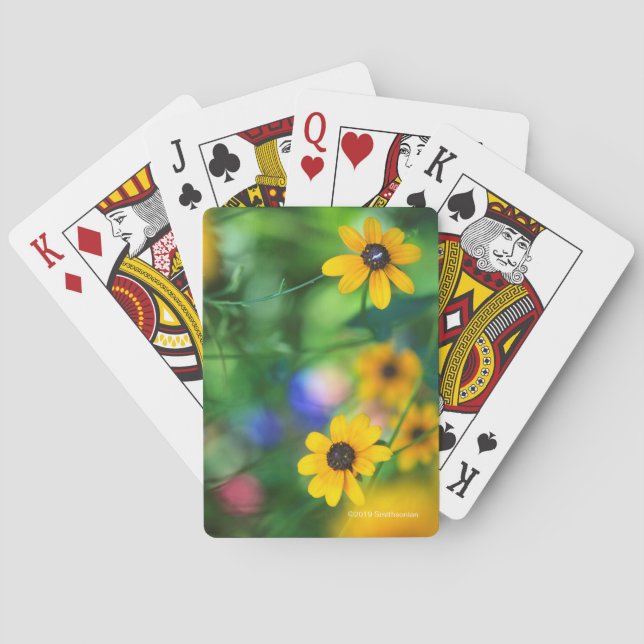 Black-eyed Susan Playing Cards (Back)