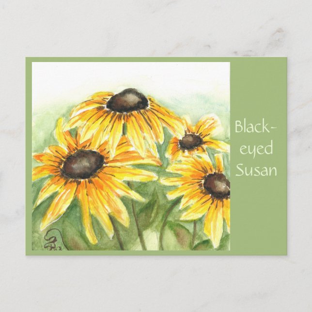 Black-eyed Susan Post Card (Front)